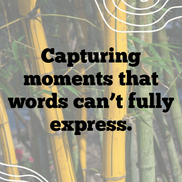 Perilla Captions Photo For Instagram-Xv1NrD