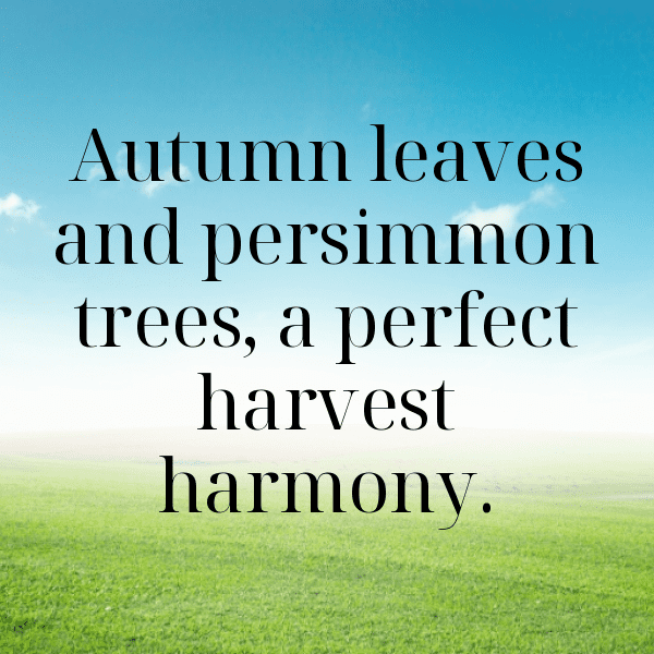 Persimmon Captions Image For Instagram-HbnoqJ