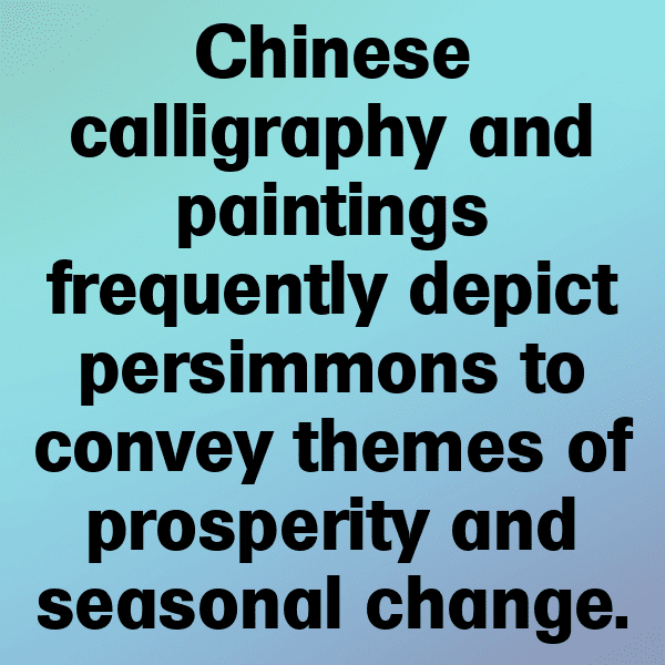 Persimmon Captions Image For Instagram-KEbWU9
