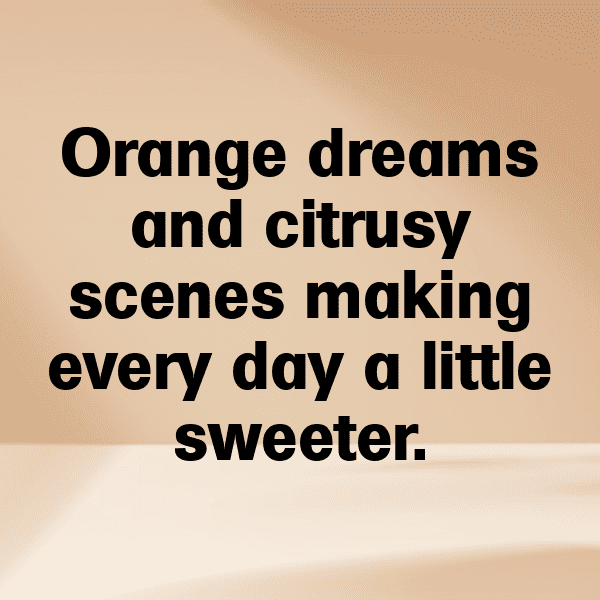 Persimmon Captions Image For Instagram-vAj4rF