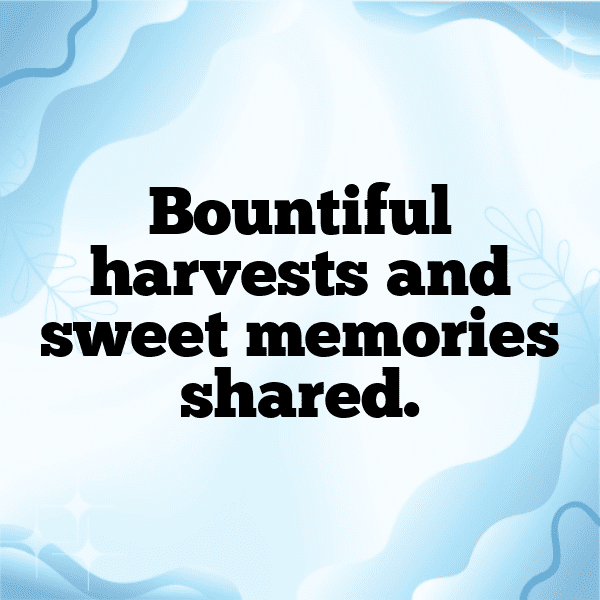 Persimmon Captions Image For Instagram-wwYeOu