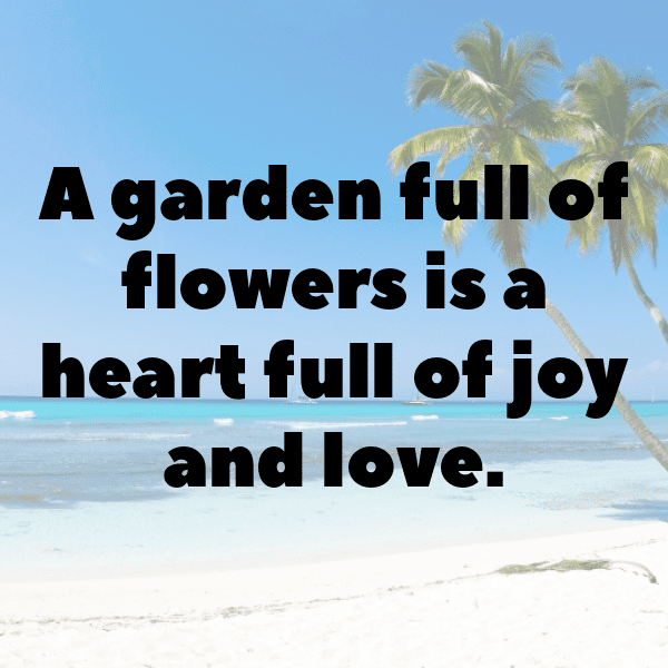 Persimmon Captions Image For Instagram-Zvl2tA