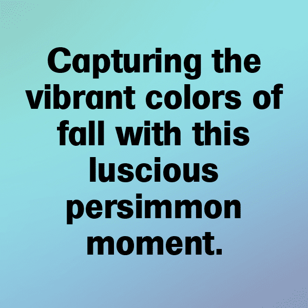 Persimmon Captions Photo For Instagram-eLto1O