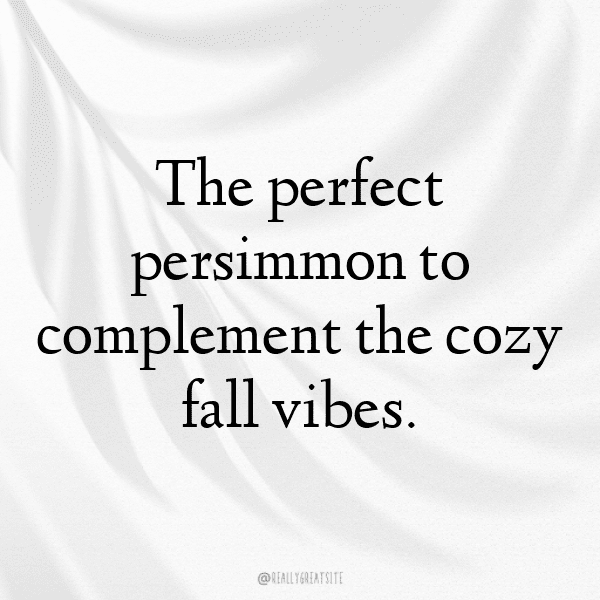 Persimmon Captions Photo For Instagram-KThPdN