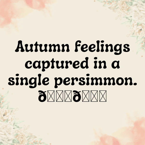 Persimmon Captions Photo For Instagram-PSqERa
