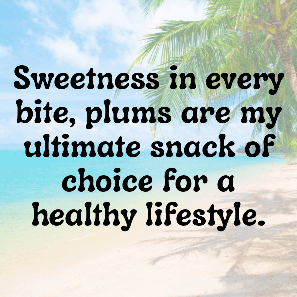 Persimmon Captions Photo For Instagram-rslQ64