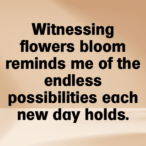 Petunia Captions Image For Instagram-A9yXZN