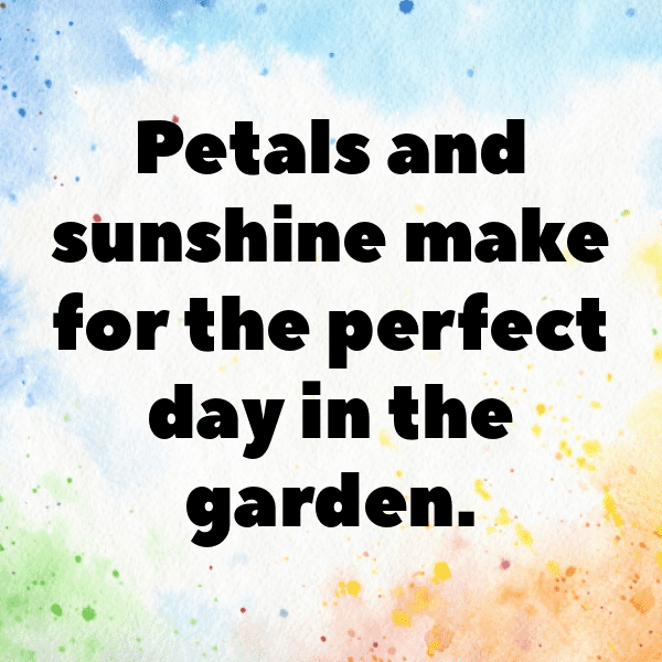 Petunia Captions Image For Instagram-ffXgRo