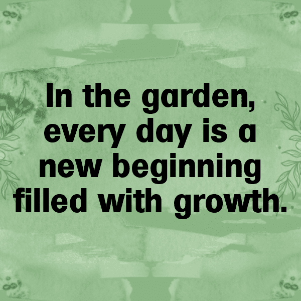 Petunia Captions Image For Instagram-XtHjfc