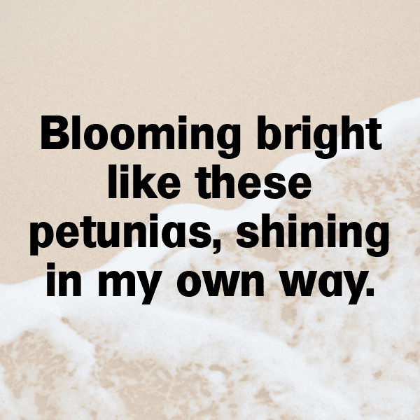 Petunia Captions Photo For Instagram-0Qvgza