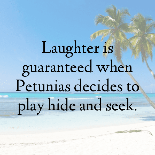 Petunia Captions Photo For Instagram-8DJRtD