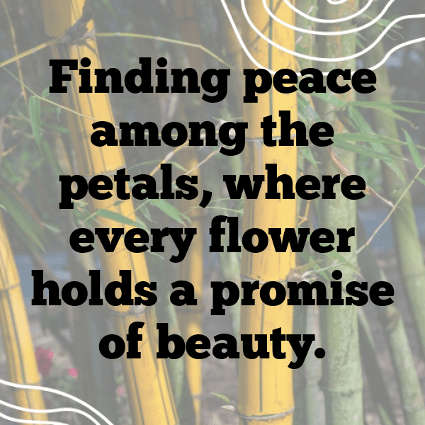 Petunia Captions Photo For Instagram-adSjvz