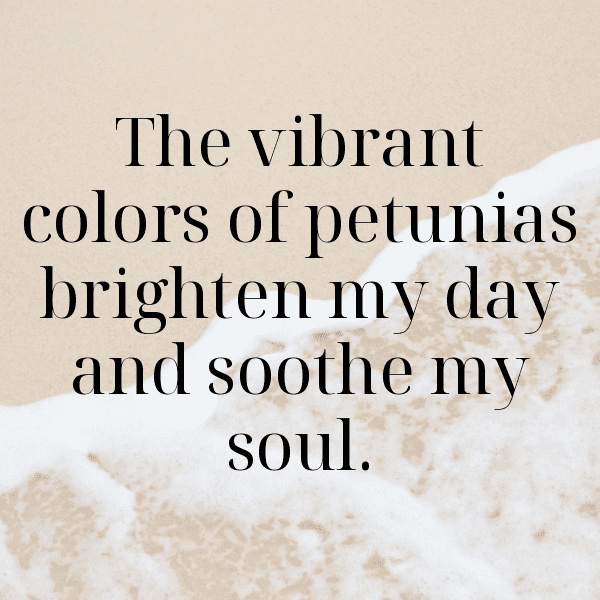 Petunia Captions Photo For Instagram-D3FmnD