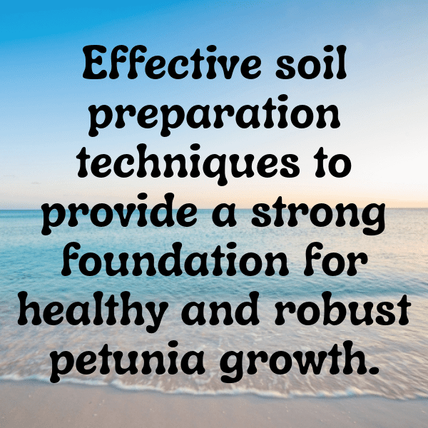 Petunia Captions Photo For Instagram-KUUB1m