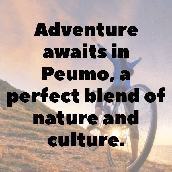 Peumo Captions Photo For Instagram-7YMdq6