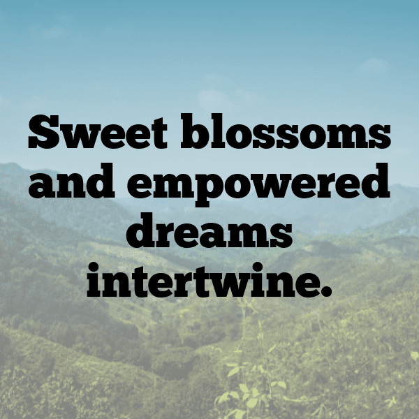 Phlox Captions Image For Instagram-KRGq8j