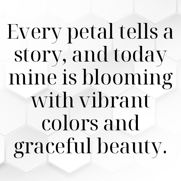 Phlox Captions Image For Instagram-ngHueL