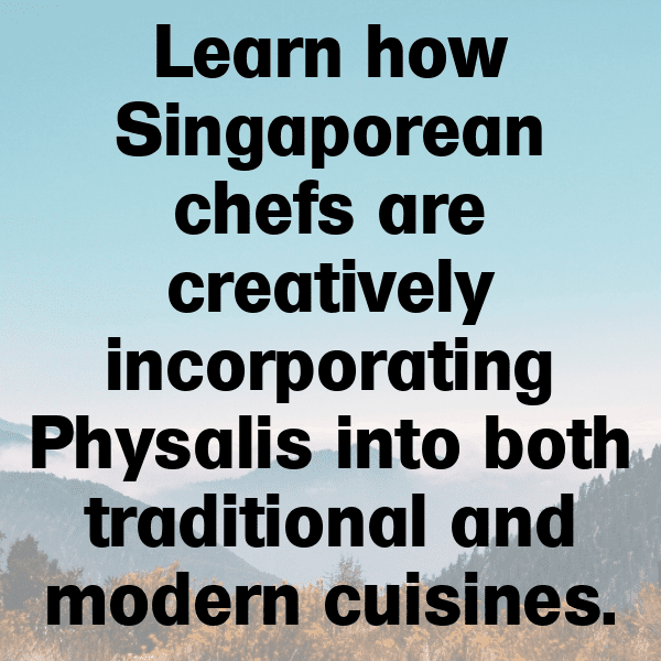 Physalis Captions Image For Instagram-DBTlao