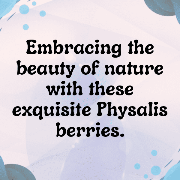 Physalis Captions Photo For Instagram-48iGL6