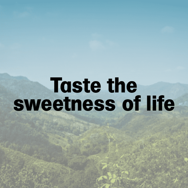 Physalis Captions Photo For Instagram-VNUVQE