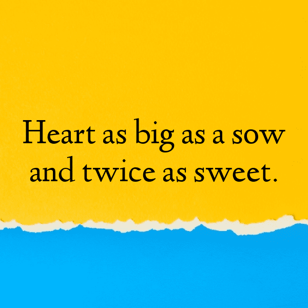 Pig Captions Image For Instagram-vfi6eu