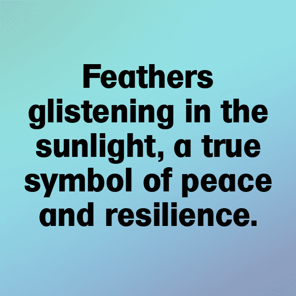 Pigeon Captions Image For Instagram-4qQFiV