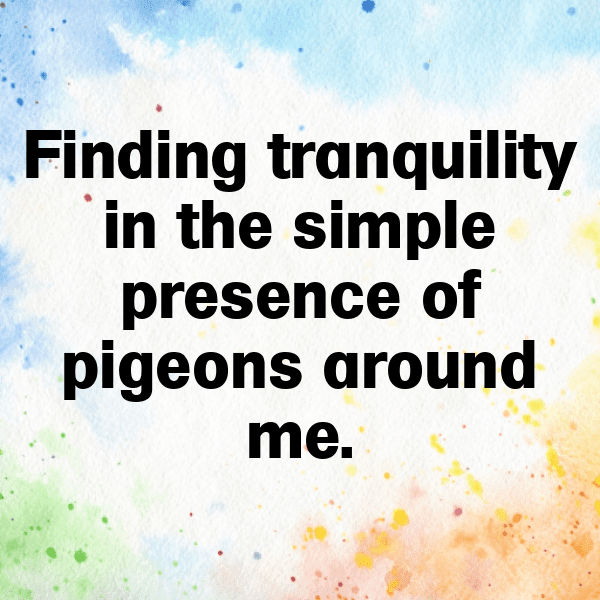 Pigeon Captions Image For Instagram-BNgBOJ