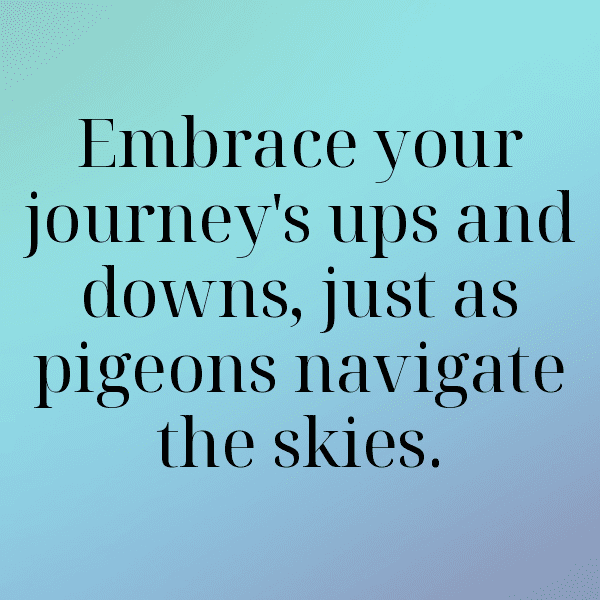 Pigeon Captions Image For Instagram-hgP0W1