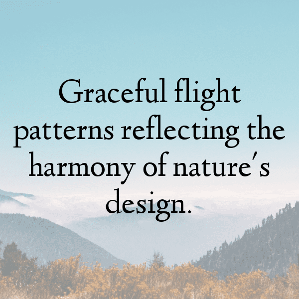 Pigeon Captions Image For Instagram-mJSZ84