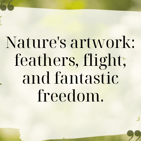 Pigeon Captions Image For Instagram-VXdNf5