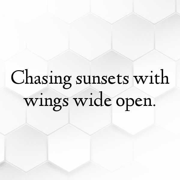 Pigeon Captions Photo For Instagram-etY0IA