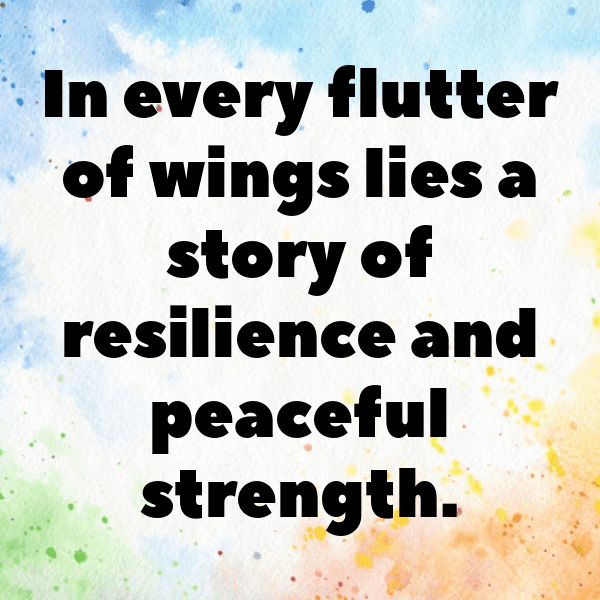 Pigeon Captions Photo For Instagram-UXNnbT