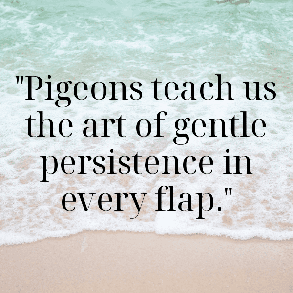 Pigeon Captions Photo For Instagram-Wp2XVM