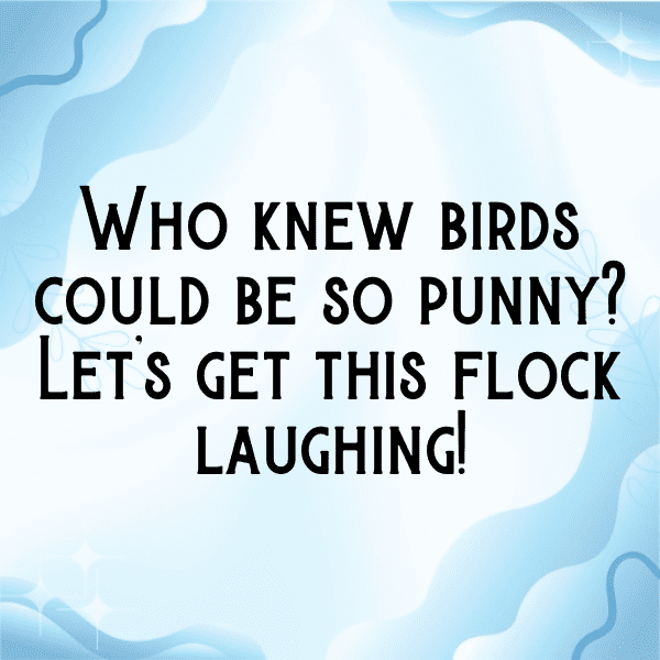 Pigeon Captions Photo For Instagram-xZWv3F