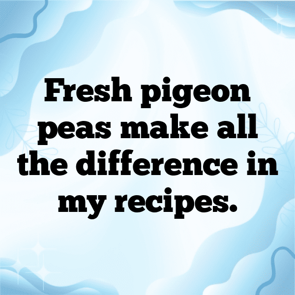 Pigeon Pea Captions Image For Instagram-fljzRb