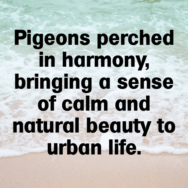 Pigeon Pea Captions Image For Instagram-Xo9bT5