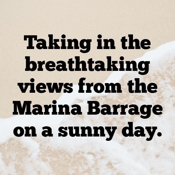 Pigweed Captions Image For Instagram-rgsZtY