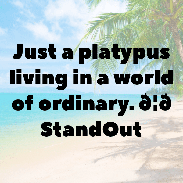 Platypus Captions Image For Instagram-D0b13x