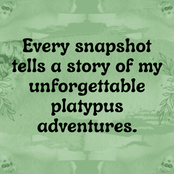 Platypus Captions Photo For Instagram-7CC5Jv