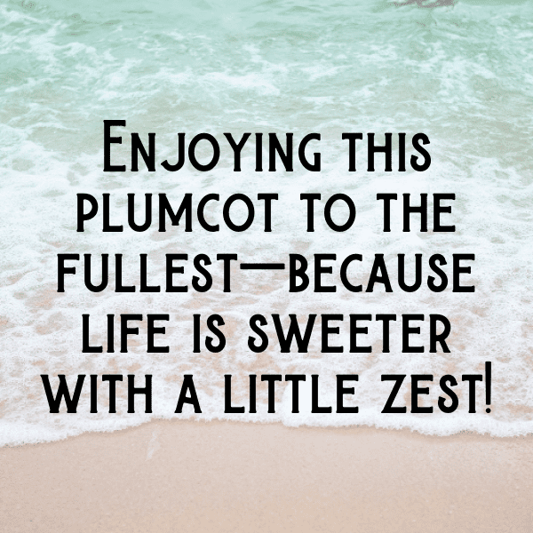 Plumcot Captions Image For Instagram-dX3qAN