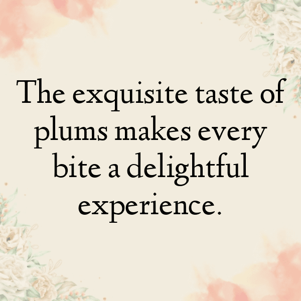 Plumcot Captions Image For Instagram-iOhAVD