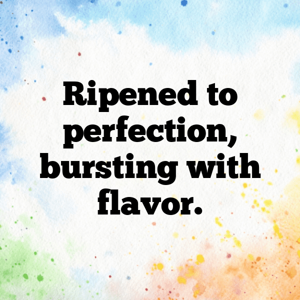 Plumcot Captions Image For Instagram-NdwD84