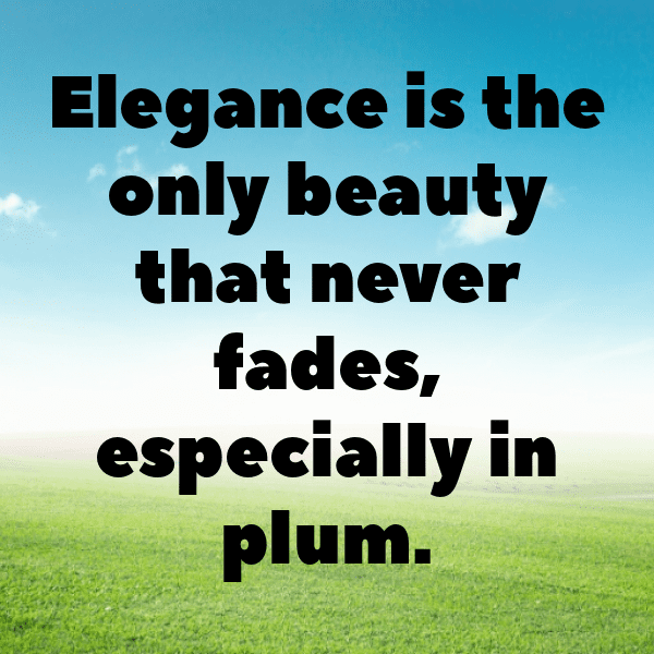 Plumcot Captions Image For Instagram-OWQANv