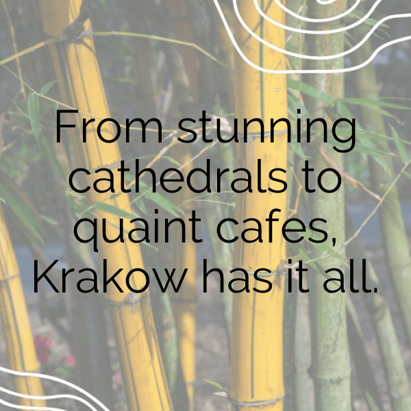 Poland Captions Image For Instagram-OeapRh