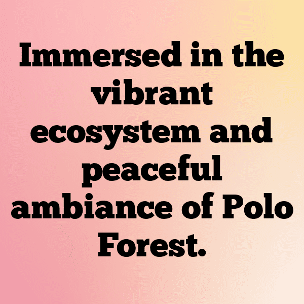 Polo Captions Image for Instagram-fA7oIl