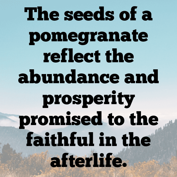 Pomegranate Captions Image For Instagram-8YraJb