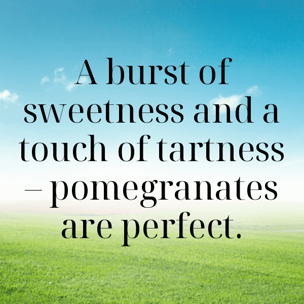 Pomegranate Captions Photo For Instagram-7W6I2p