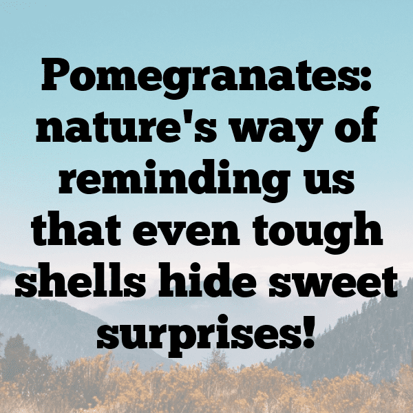 Pomegranate Captions Photo For Instagram-pt340O