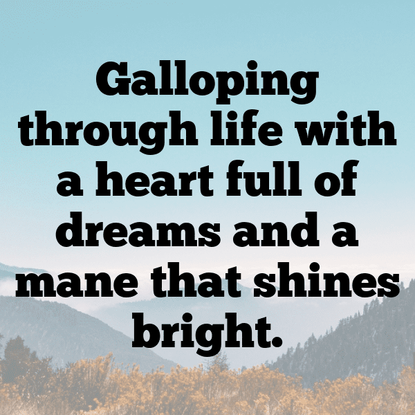 Pony Captions Image For Instagram-nFRnb8