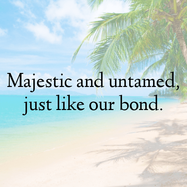 Pony Captions Photo For Instagram-TguTcx